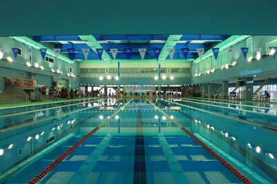 大安運動中心泳池「男躺池底溺斃」！體育局：AI偵測不到角落