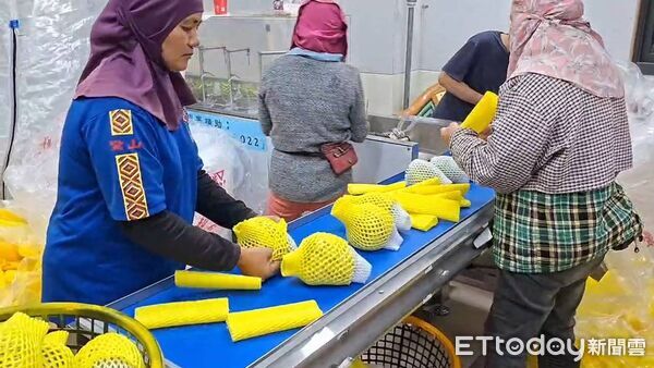 ▲台東評選10家優良包裝廠樹立標竿。（圖／記者楊晨東翻攝）