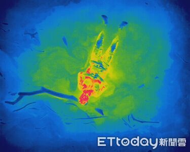 工地主任遭洪水沖走受困16小時！1根木頭救了他　熱顯像畫面曝