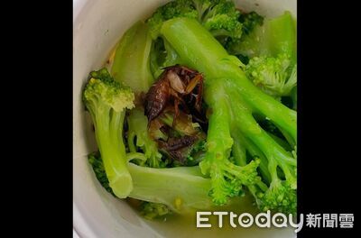 崩潰！連鎖餐廳吃花椰菜赫見完整大蟑螂　中市衛生局要查了