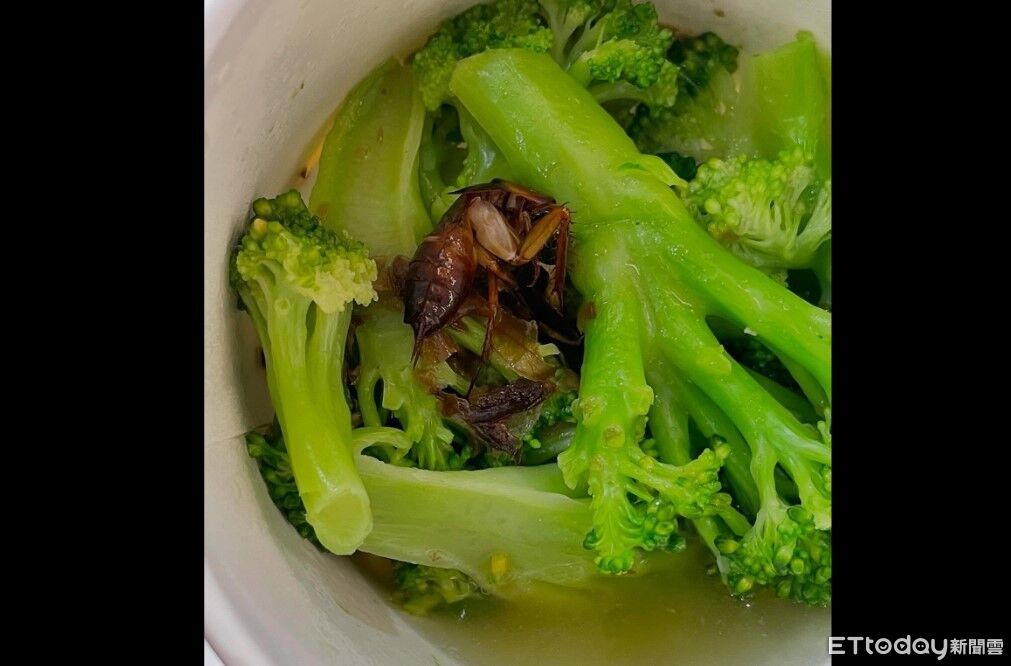 崩潰!連鎖餐廳吃花椰菜赫見完整大蟑螂 中市衛生局要查了