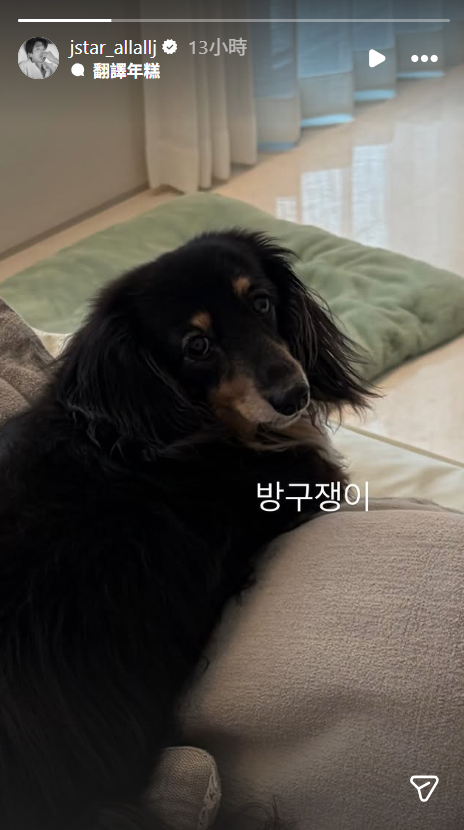 ▲▼鄭敬淏官宣前「才曬兩人愛犬」9小時後認分手秀英。（圖／翻攝自Instagram／jstar_allallj）