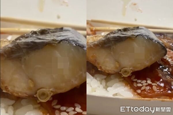 澎湖自助餐「鯖魚長蛆」!民眾一開便當被嚇壞