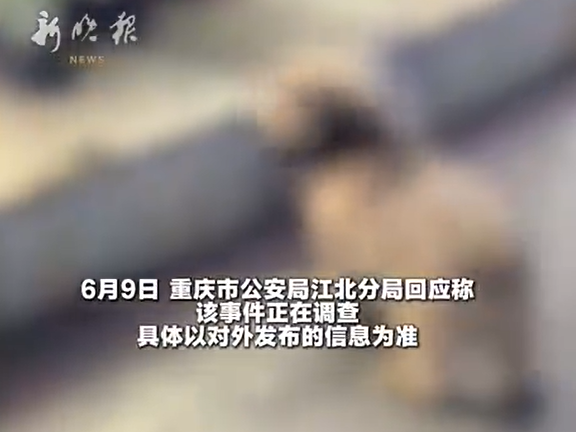 ▲▼陸男假借領養虐狗引陸網震怒。（圖／翻攝自微博）