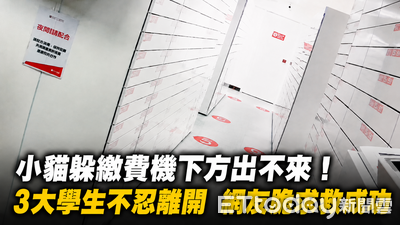 小貓困智能繳費機下方！3大學生苦守不離開　北投警助脫困