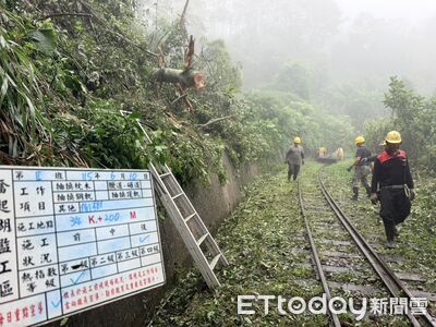 落石崩坍已搶通！山區雨勢趨緩　阿里山林鐵明全線恢復營運