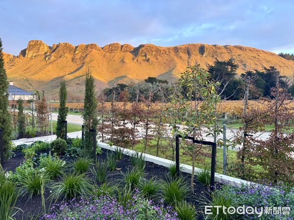 ▲紐西蘭北島霍克斯灣（Hawke`s Bay）的Craggy Range,Craggy Range,紐西蘭葡萄酒莊園,紐西蘭葡萄酒園,紐西蘭獨棟別墅。（圖／記者彭懷玉攝）