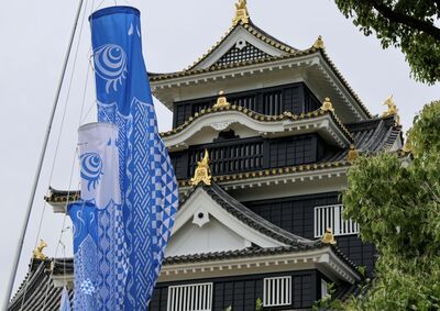 台灣人太猛！日本岡山外國住宿客「一半以上來自台灣」　數據曝光