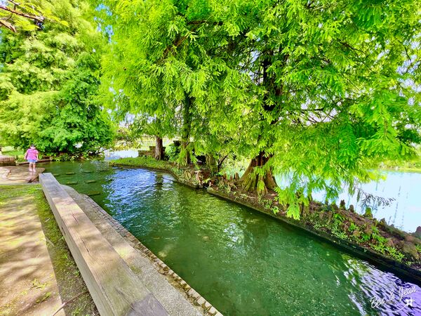 ▲▼宜蘭雷公埤。（圖／紫色微笑授權提供）
