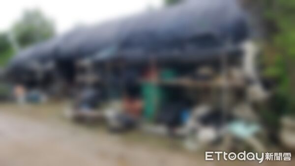 ▲桃園市新屋區4死車禍，檢方11日相驗4名死者遺體。（圖／記者黃彥傑攝，下同）