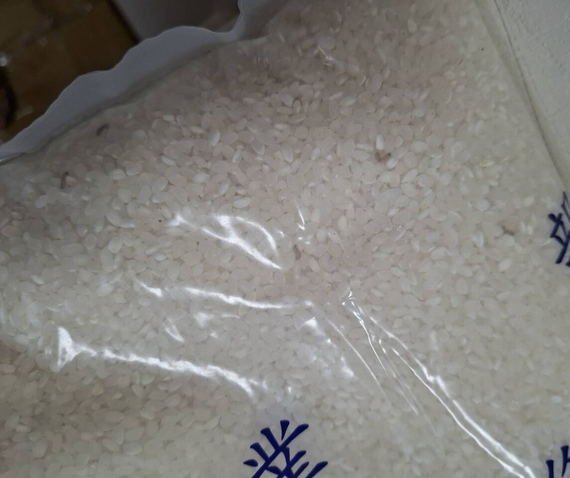 五結救助米「生米蟲」!3萬kg新米全面回收 端午節前換發完畢