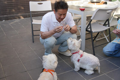 徐乃麟私下竟是超級狗奴「親手擠肛門腺」！　曝母痛失愛犬心碎往事