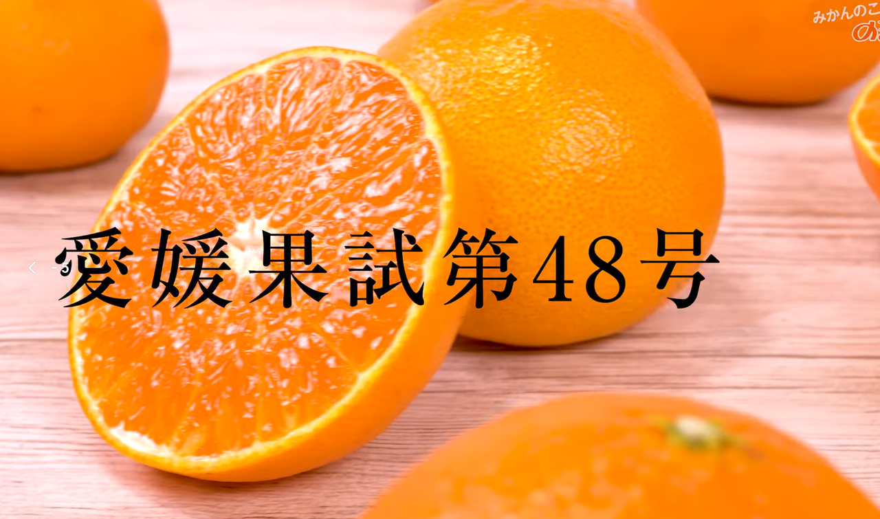 盜竊日本研發20年心血!高級柑橘「紅公主」外流中國 登電商平台