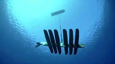 海洋動物成間諜？　陸稱境外「諜龜諜魚」竊取敏感數據