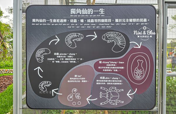 ▲▼東勢區獨角仙生態公園。（圖／部落客NINI AND BLUE 玩樂食記授權提供）