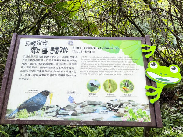 ▲▼新寮瀑布步道。（圖／部落客紫色微笑授權提供）
