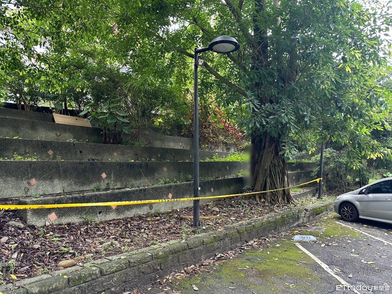 快訊/網拍遭詐騙3900元! 新店女陳屍渡船頭停車場樹下