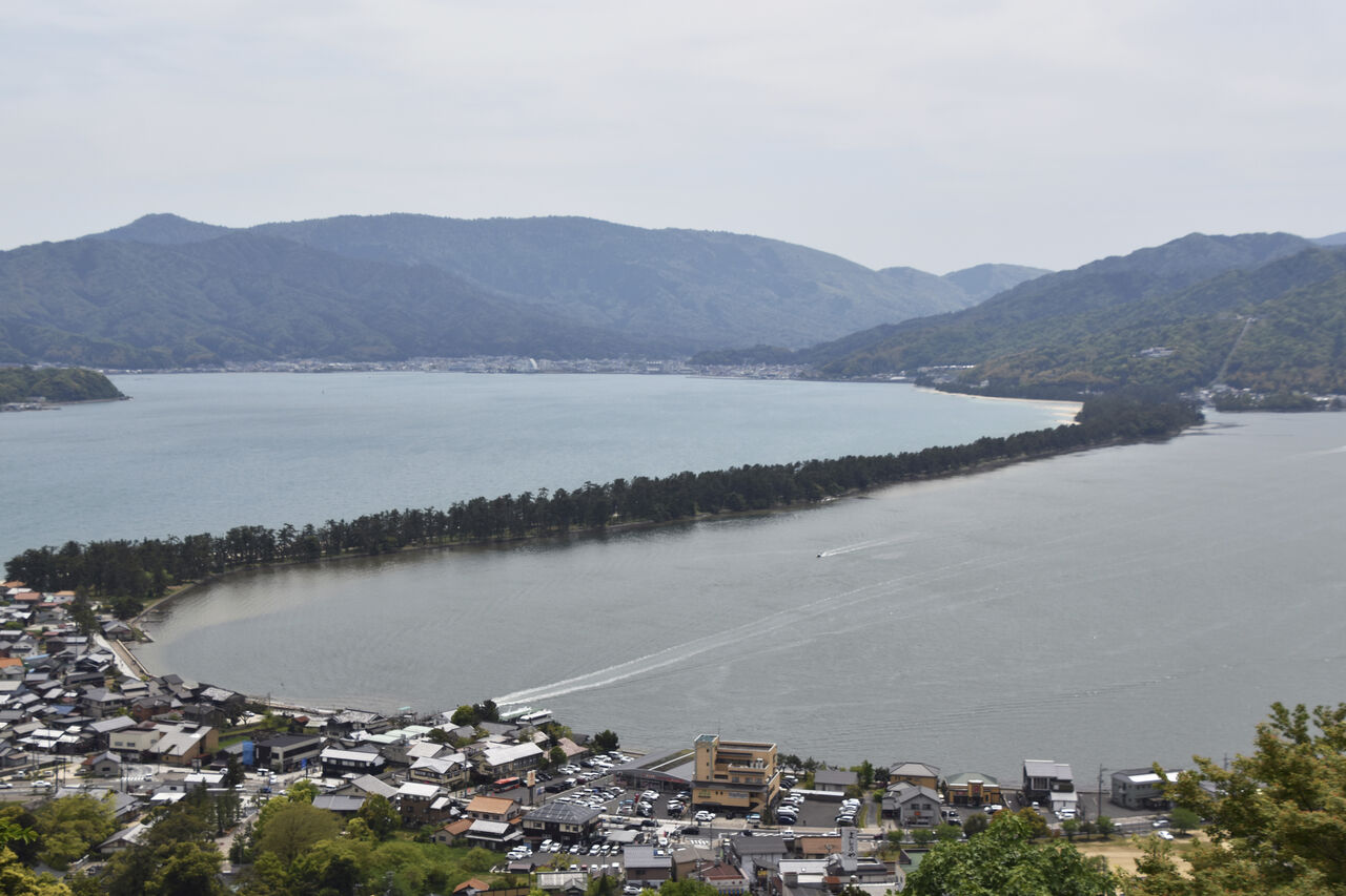才捕獲游泳黑熊! 日本三景天橋立今又通報「小熊出沒」 | ETtoday國際新聞 | ETtoday新聞雲