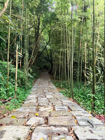▲2026陽明山竹子湖繡球花季，猴崁水圳步道，竹子湖賞花地圖。（圖／大地處提供）