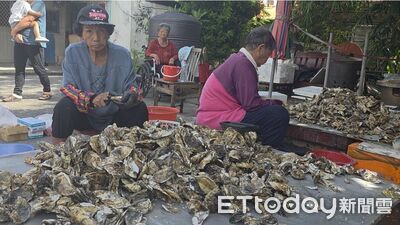 養活大漁村！東石商圈「蚵文化」翻轉觀光　扎根食魚教育