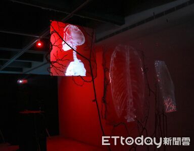成大科藝所畢展《內在地形》登場　以科技探索情緒與感知