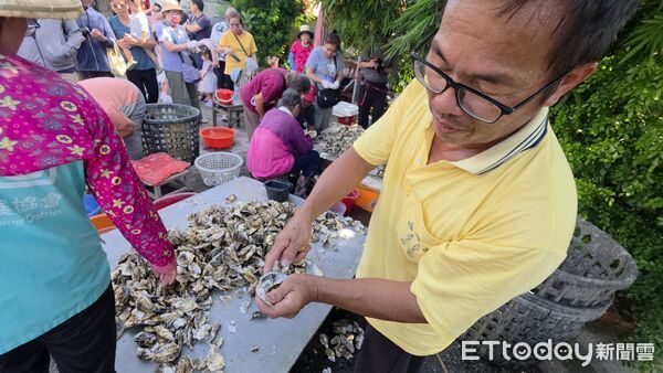 ▲▼   體驗小旅行與策展！東石商圈推廣「蚵文化」與食魚教育   。（圖／記者翁伊森攝）