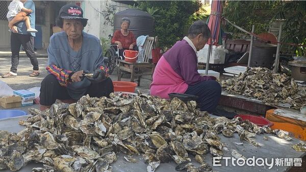 ▲▼   體驗小旅行與策展！東石商圈推廣「蚵文化」與食魚教育   。（圖／記者翁伊森攝）
