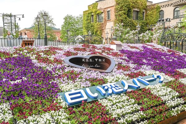 ▲▼白色戀人公園。（圖／周花花授權提供）