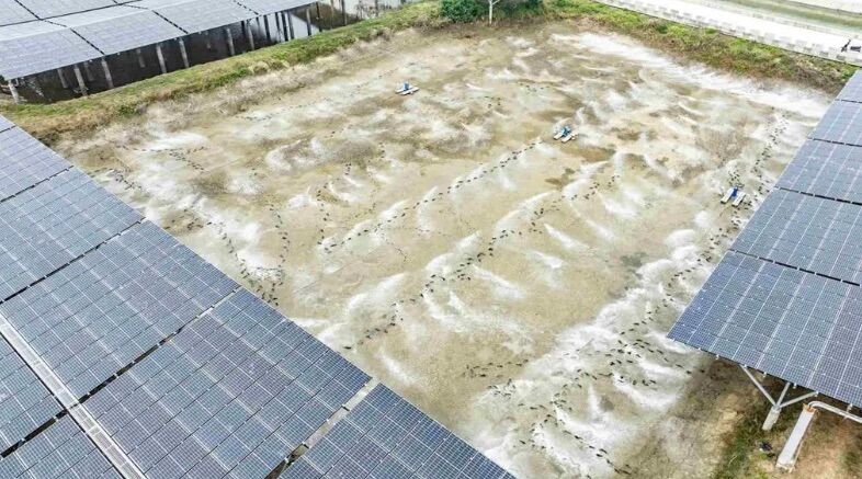 3主管涉索回扣遭押!台泥綠能:去年主動提告 全力配合司法調查