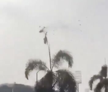 巴西2直升機空中對撞毀6人亡　警：美歌手奧利佛樹罹難