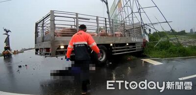 快訊／台南運豬車「撞工程車再撞機車」！　騎士遭輾爆頭慘死