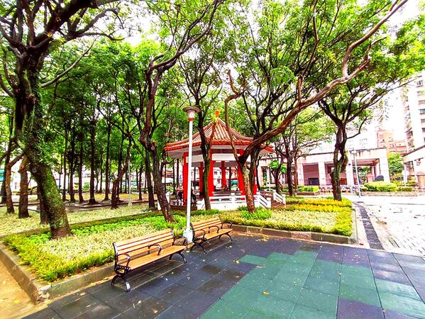▲新北板橋華德公園煥新 地景展現城市綠蒔力。（圖／新北市景觀處提供）