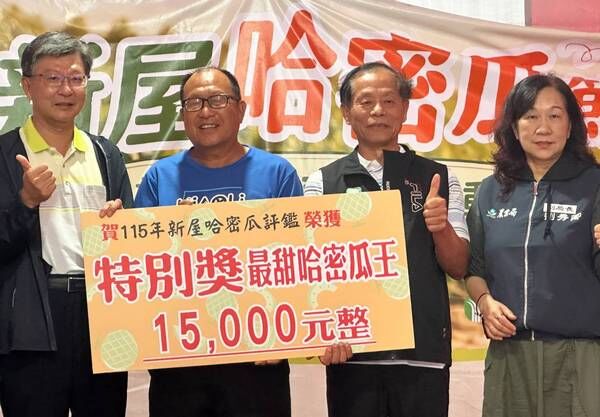 ▲新屋哈密瓜節、評鑑賽登場　