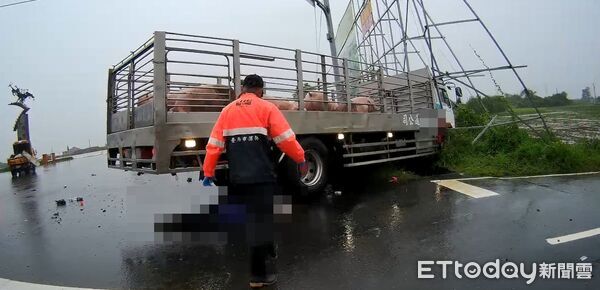 ▲台南發生死亡車禍，男騎士遭運豬車輾過，當場爆頭慘死。（圖／民眾提供）