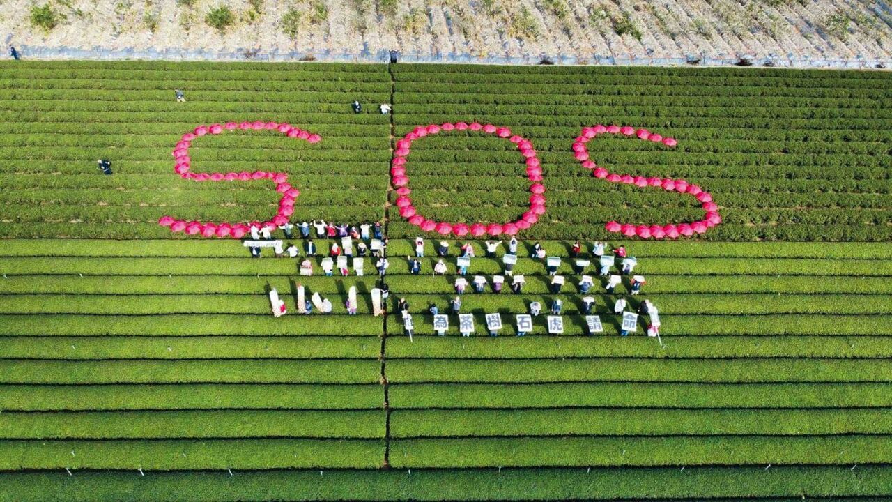 名間焚化爐再爆爭議 預定地危害石虎、柴棺龜生態 | ETtoday社會新聞 | ETtoday新聞雲