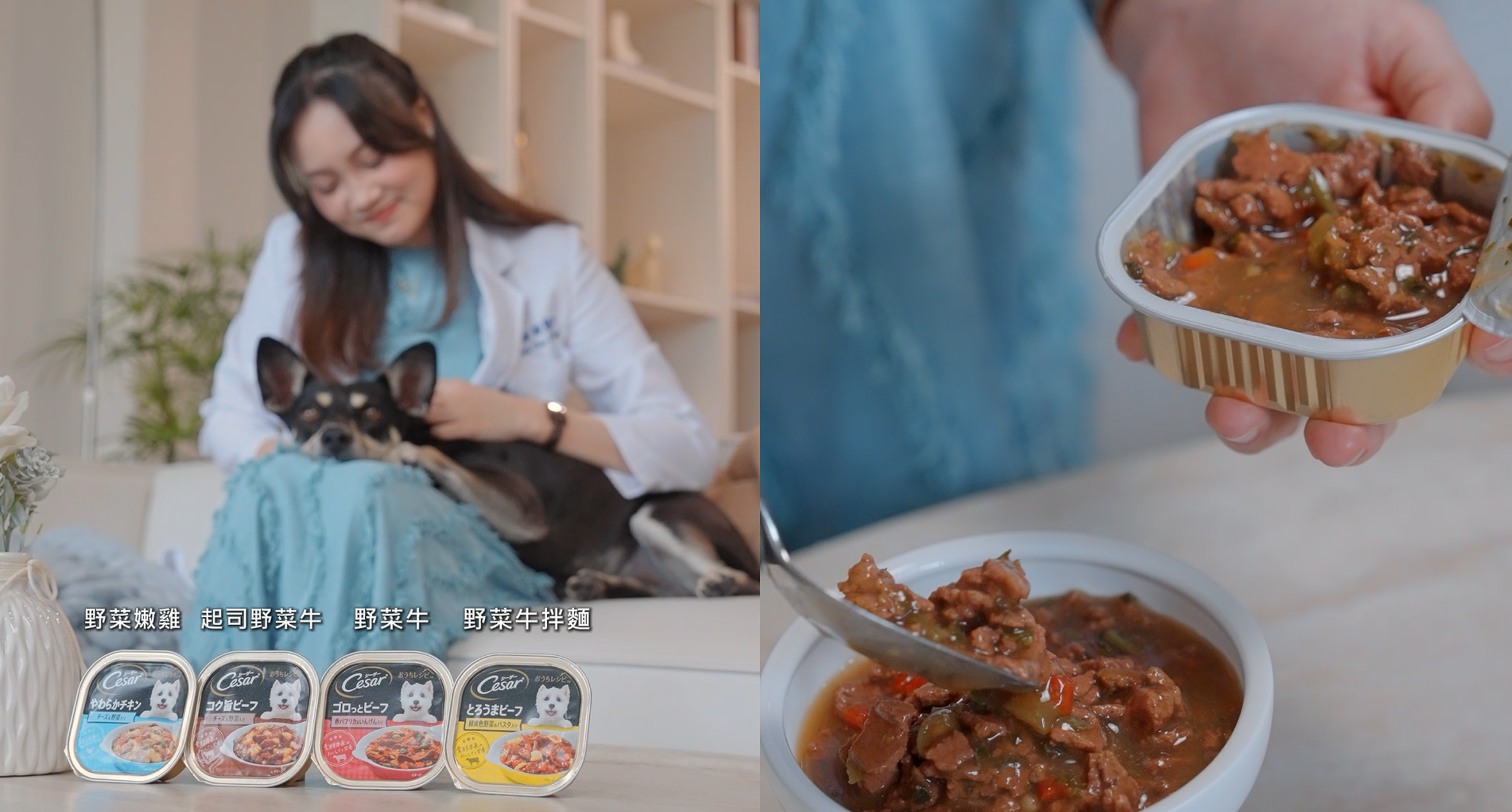 ▲▼ 濕糧,狗狗,飲食,毛孩保健,夏季,西莎,新品,毛小孩,寵物。（圖／擷取自ETTODAY影片、西莎提供）