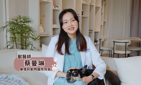 天氣熱狗狗沒胃口？獸醫師分享挑濕糧3關鍵：不只好吃，更要吃得安心