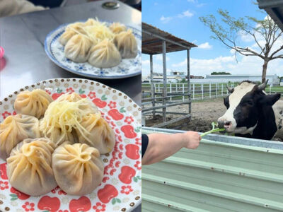彰化秀水一日遊！免門票牧場餵乳牛　隱藏版批發倉庫挖寶便宜零食