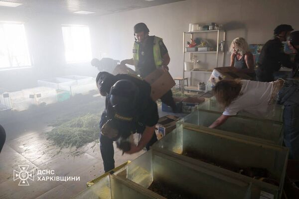 ▲▼俄軍無人機15日轟炸烏克蘭第2大城哈爾科夫（Kharkiv），位於市中心的動物園遭直接擊中，導致多隻兔子死傷。（圖／翻攝Головне управління ДСНС України у Харківській області﻿）
