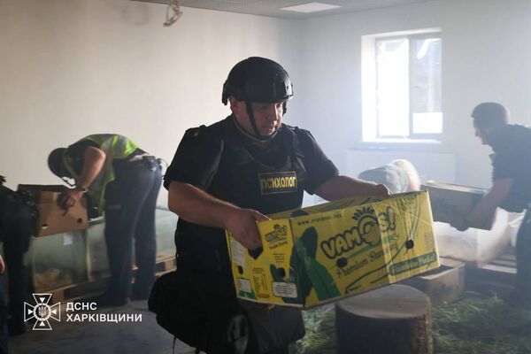 ▲▼俄軍無人機15日轟炸烏克蘭第2大城哈爾科夫（Kharkiv），位於市中心的動物園遭直接擊中，導致多隻兔子死傷。（圖／翻攝Головне управління ДСНС України у Харківській області﻿）