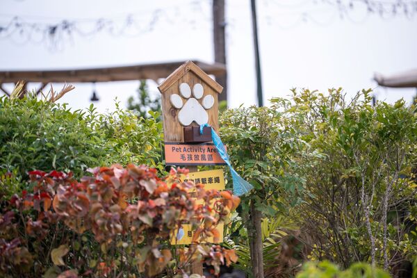▲▼墾丁凱撒「毛孩假期」住房專案。（圖／業者提供）