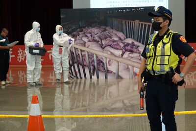 端午安心吃粽!新北兵推4大豬病情境 強化防疫應變機制