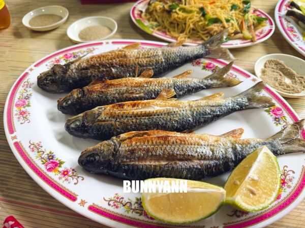 ▲▼苦花大王。（圖／小兔小安*旅遊札記授權提供）