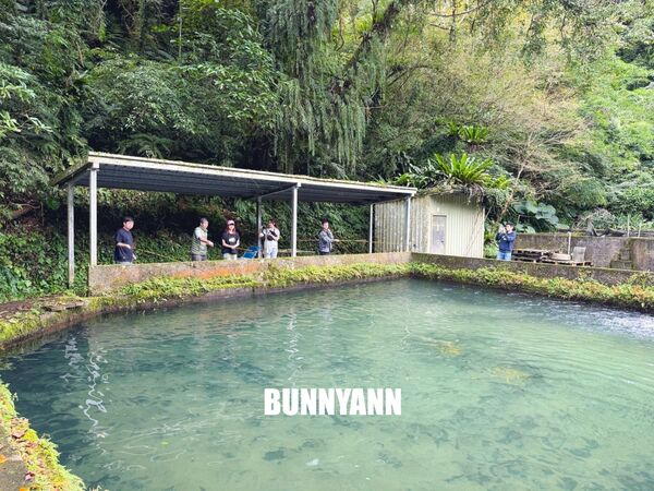 ▲▼苦花大王。（圖／小兔小安*旅遊札記授權提供）
