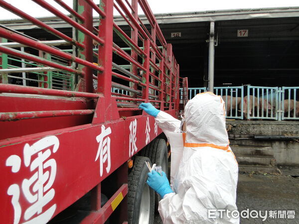 ▲台南市動物防疫保護處首度於第28屆國際豬病學會大會發表2篇豬病相關壁報論文。（記者林東良翻攝，下同）