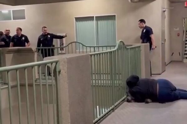 悲劇&hellip;她慶祝尼克隊奪冠放聲尖叫　警上門關切「見狗撲來」直接開2槍斃命