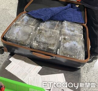 300隻蜥蜴小三通趴趴走...3天搭3趟　金門矇混出境廈門被擋下