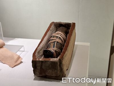 木乃伊版「娃包」　古埃及展揭秘「動物偽裝成嬰兒」