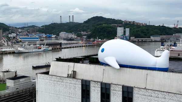 ▲▼《大魚入港 The Grand Arrival》正式亮相。（圖／基隆市文化觀光局提供）