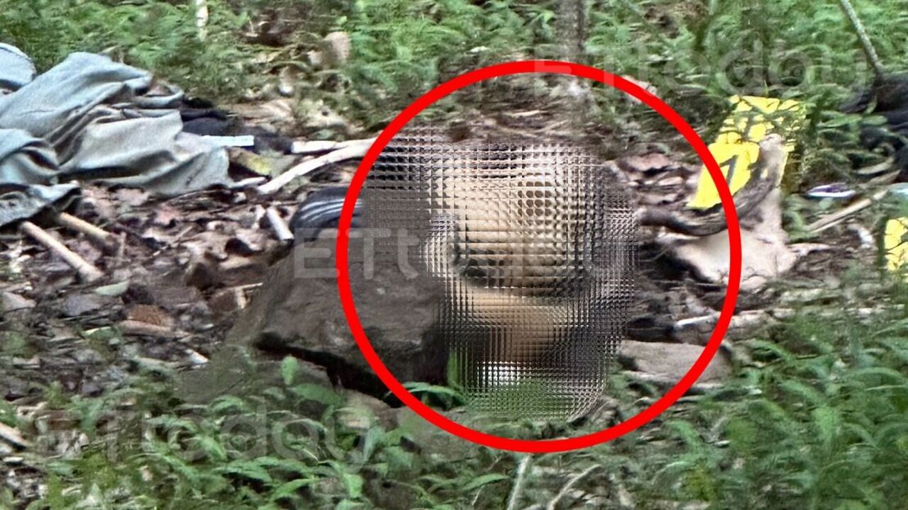 獨/高雄登山步道驚見一顆頭顱!白骨散落山林...驚悚現場畫面曝 | ETtoday社會新聞 | ETtoday新聞雲